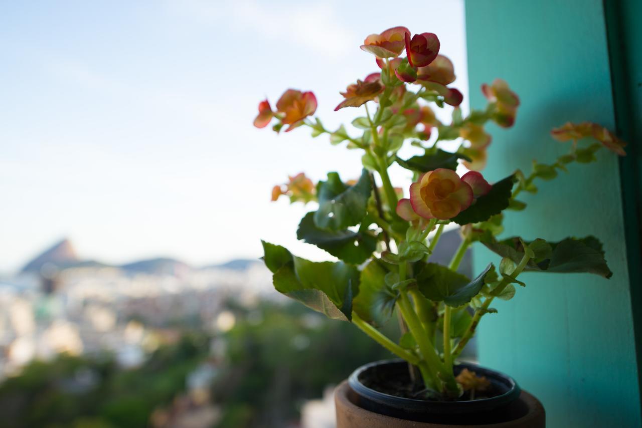 Casa Francisco Bed & Breakfast Rio de Janeiro Dış mekan fotoğraf